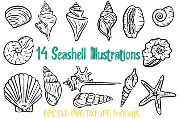 14 Seashell Shell Illustration SVG Logo: A Versatile Design for Creative Projects