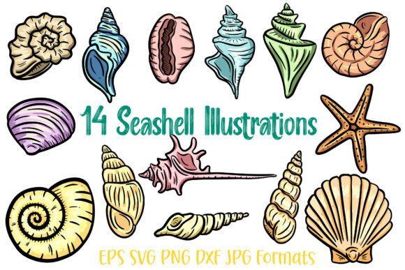 14 Seashell Shells Clipart Illustration: A Versatile Resource for Creative Professionals