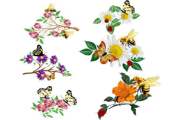 A Set of Ladybug, Butterfly and Bees on